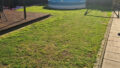 Garten mit Pool, Einfamilienhaus mieten in Magdeburg